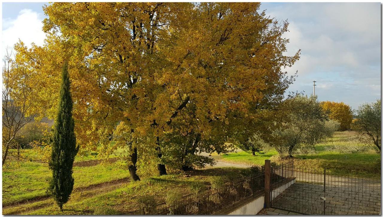 Villino Cortona - Casa Vacanze A Cortona Con Piscina Privata Wifi, Ac - Toscana - Nelle Vicinanze Perugia, Assisi, Montepulciano, Pienza, Siena Esterno foto